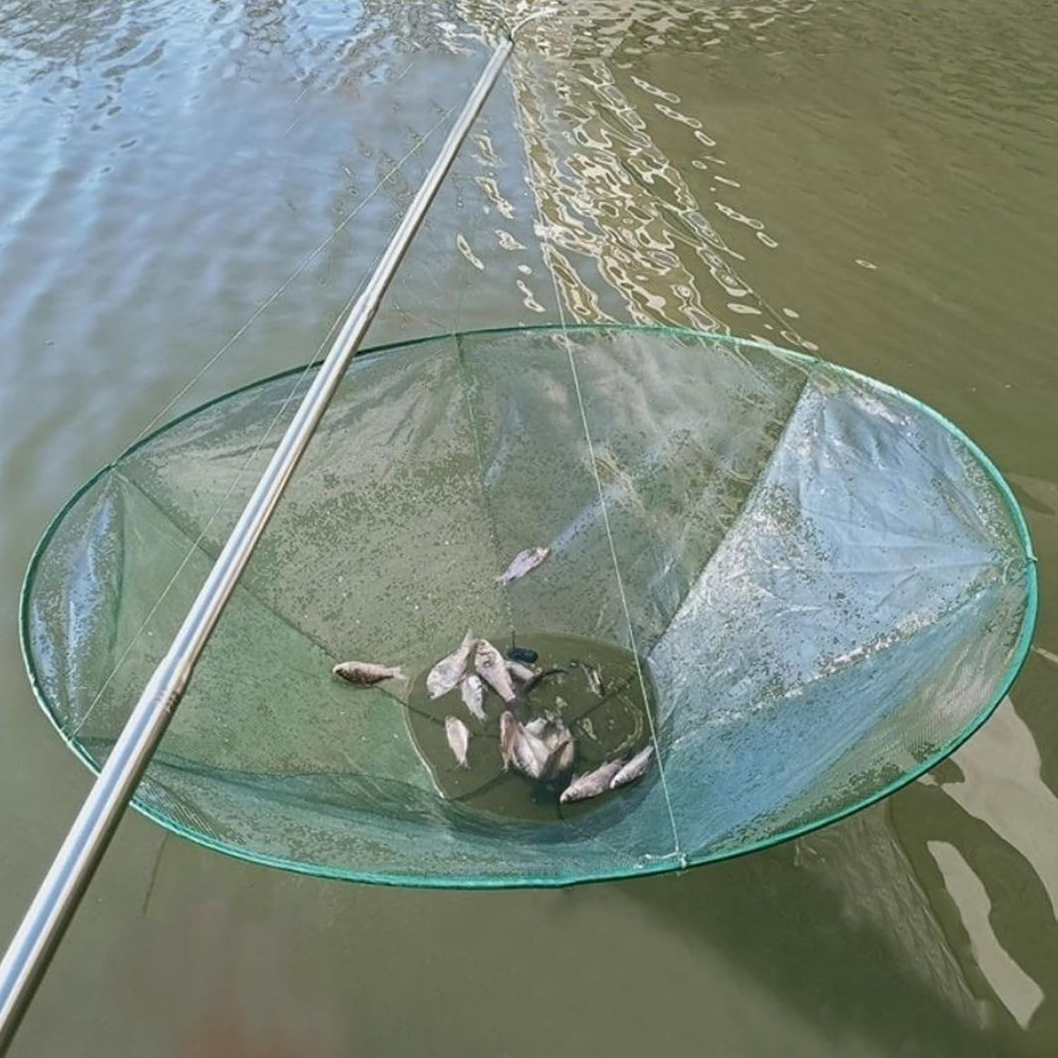 Drop Net Dia. 39in Foldable Portable Fishing Net B300360