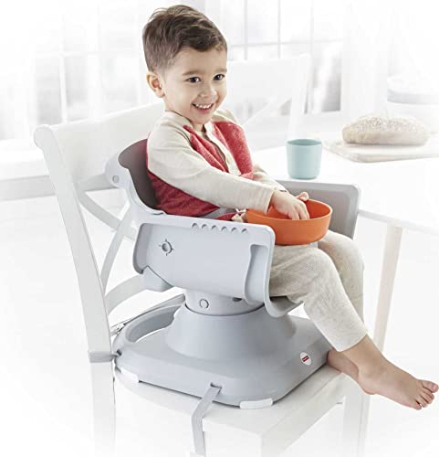 Baby to Toddler High Chair Portable Dining Seat & Booster with Washable Deep Tray & Liner R164