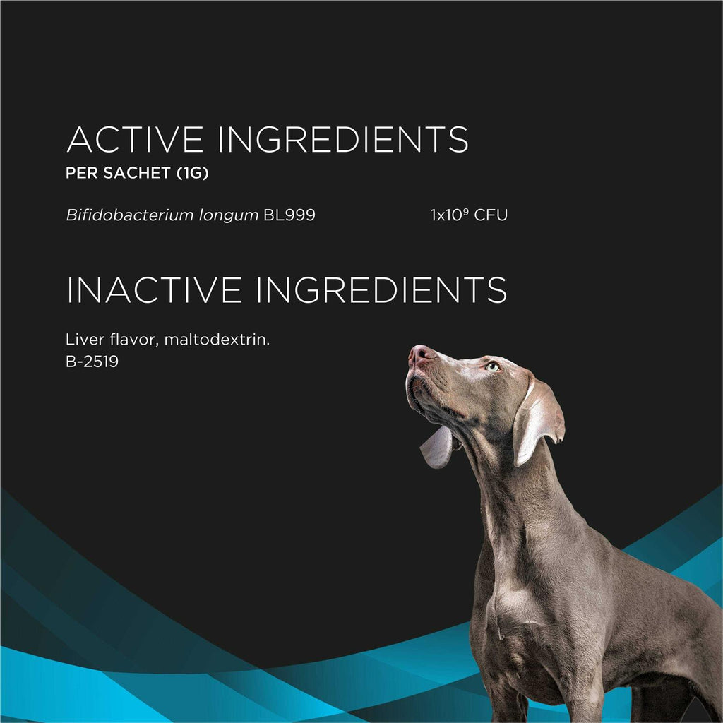 Calming Care Pet Supplements W52575