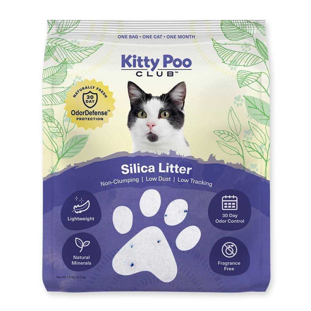 Silica Litter with Disposable Cat Litter Box P29856