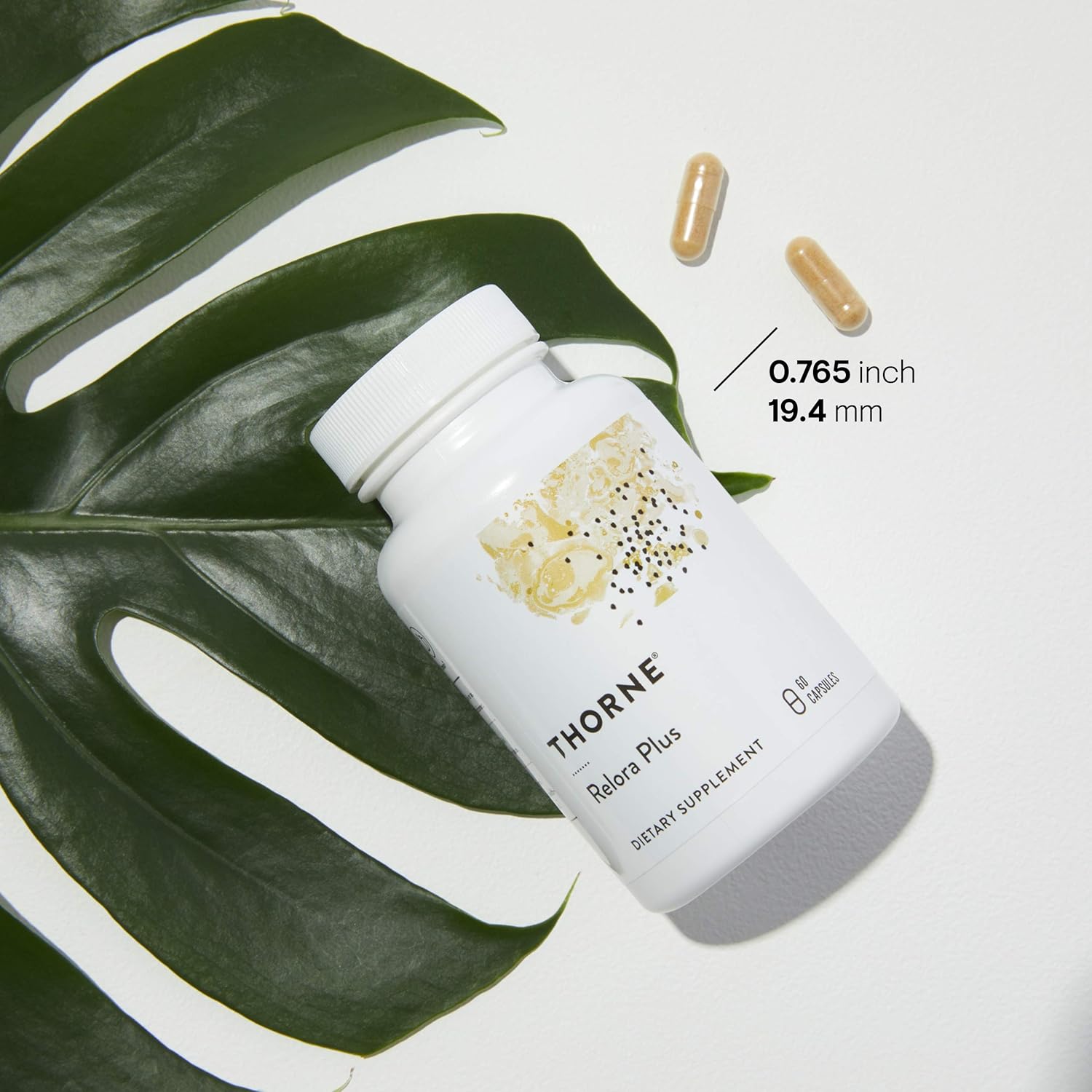 60 Capsules Craving and Stress Support J6102
