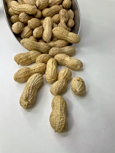 Raw Peanuts in Shell 10LB L10591