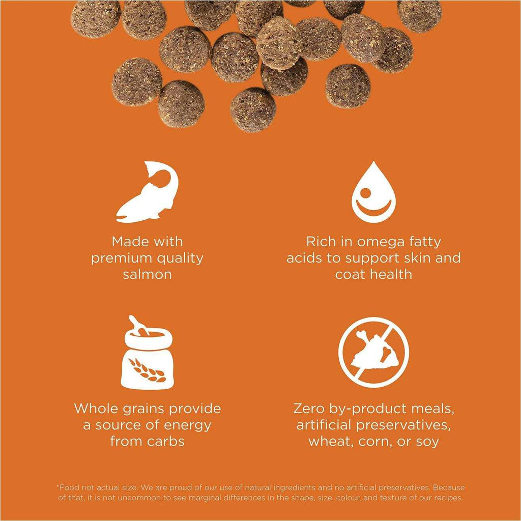 Skin + Coat Care Salmon Recipe Dry Dog Food X895