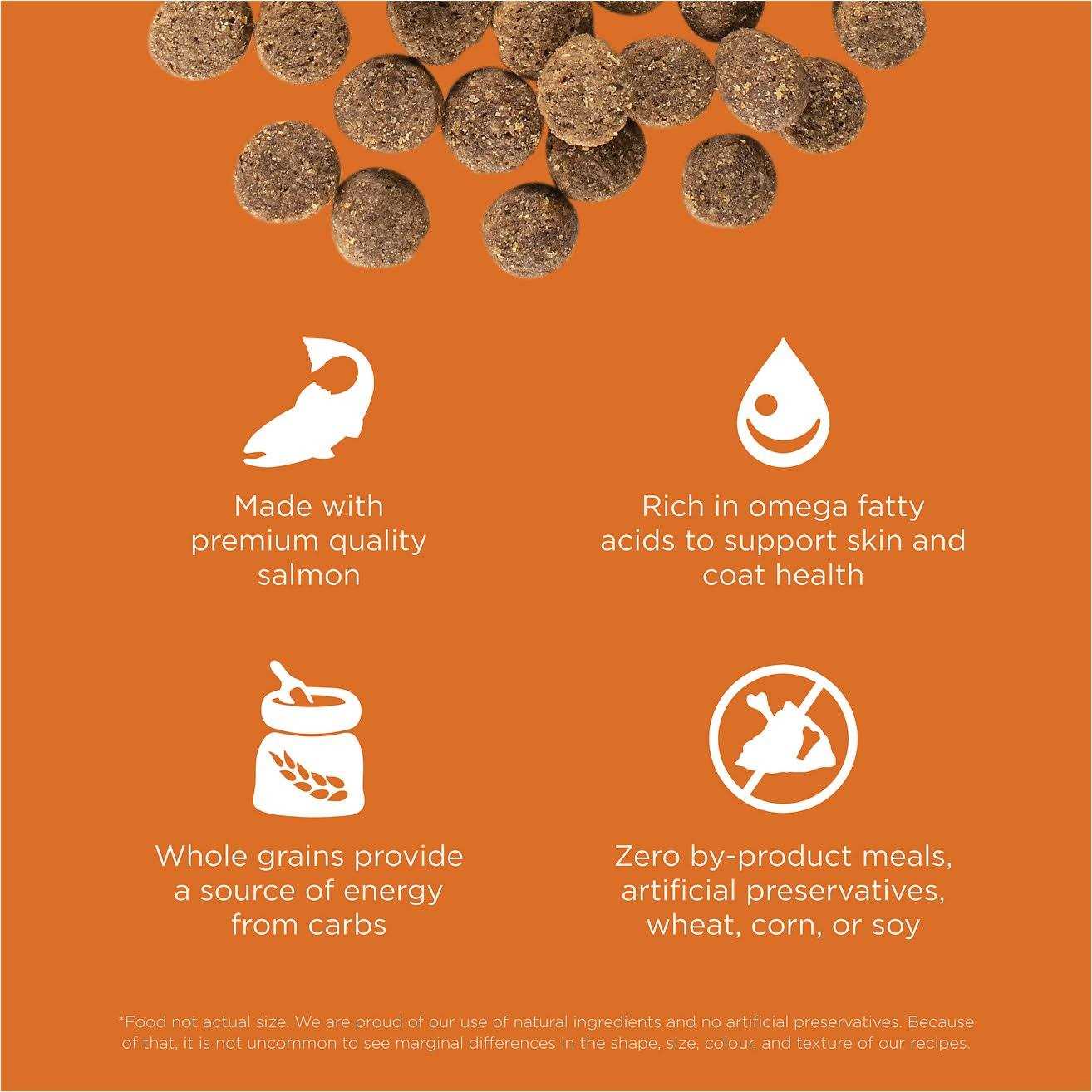Skin + Coat Care Salmon Recipe Dry Dog Food X895