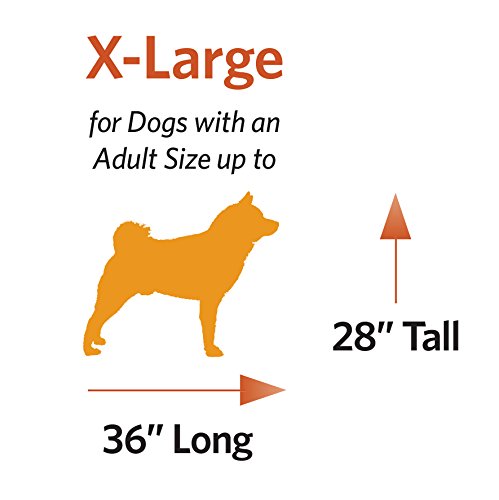 XL Folding Metal Dog Crate with Divider Panel, 48L x 30W x 33H Inches A350