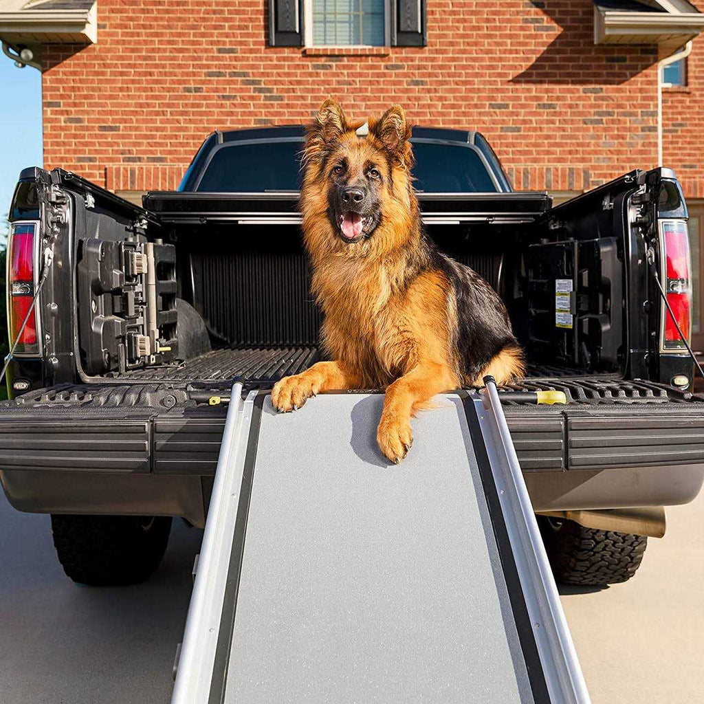 Telescoping Ramp K6828