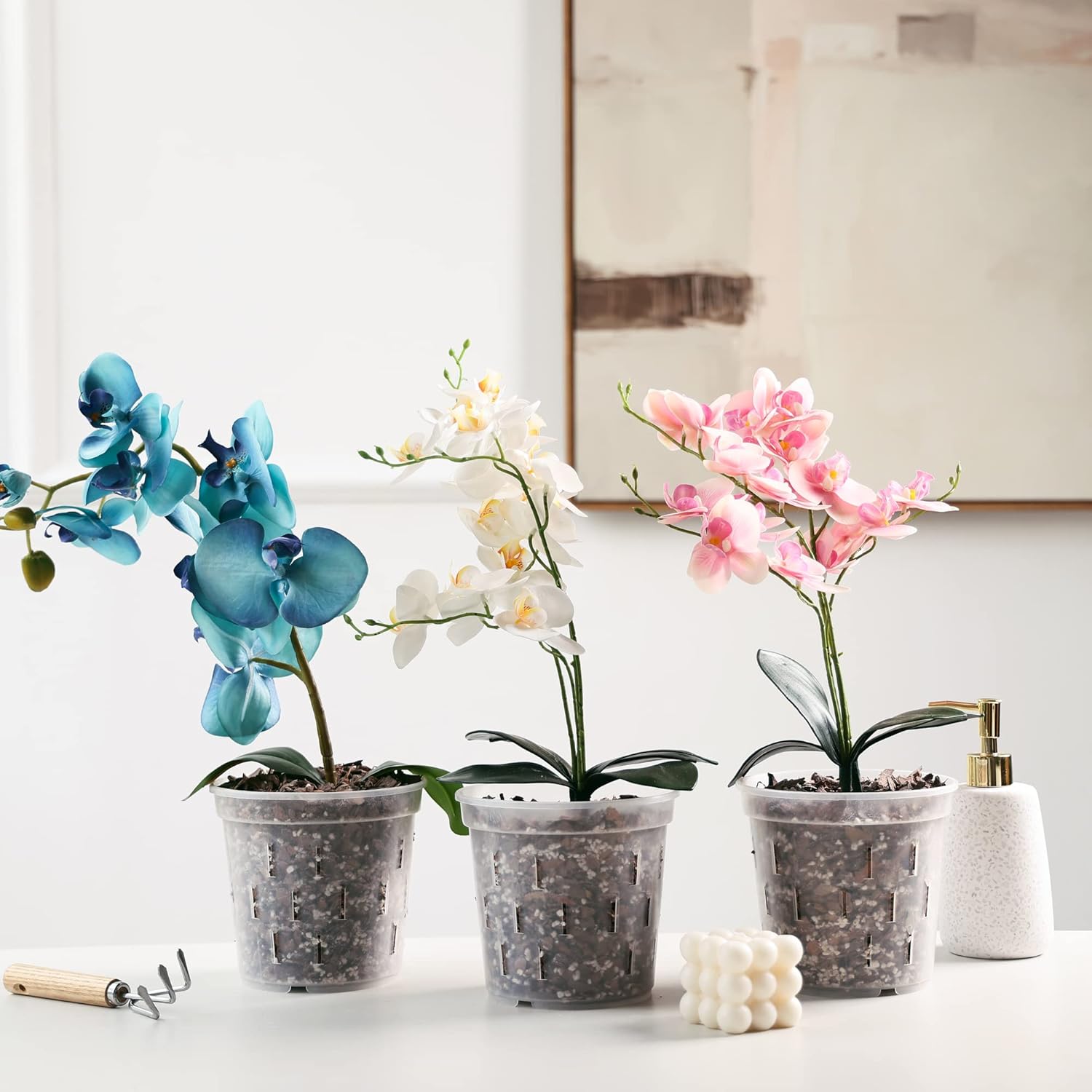 Clear Orchid Pot 6 Inch 5Pack Plastic Planter D751559