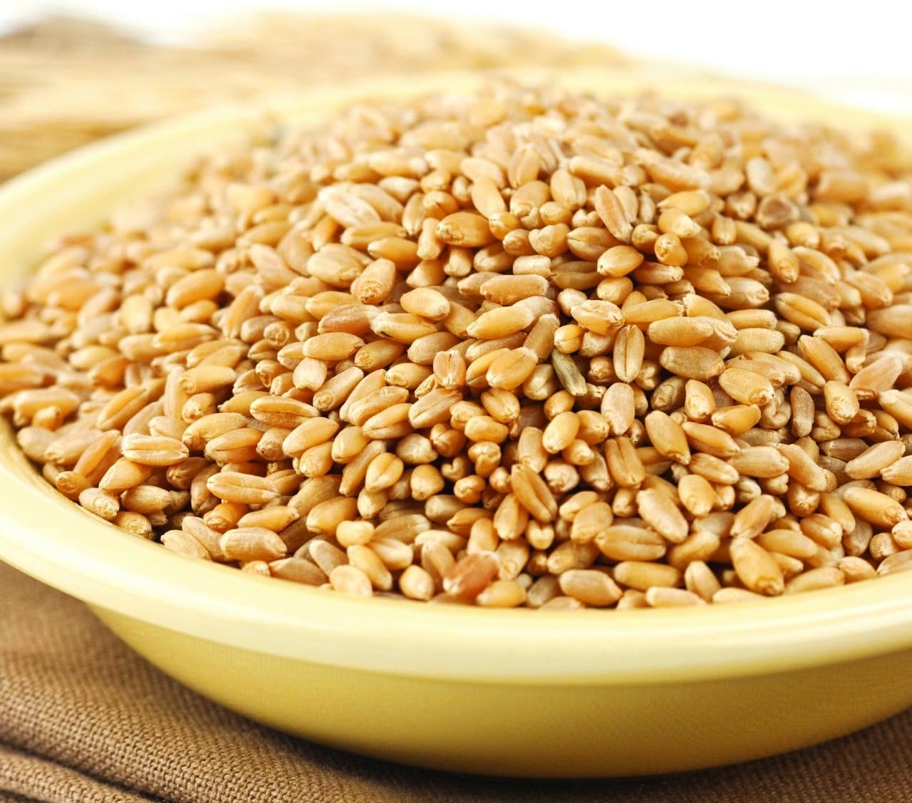 25 Lb. Bag Hard White Spring Wheat Berries O5210