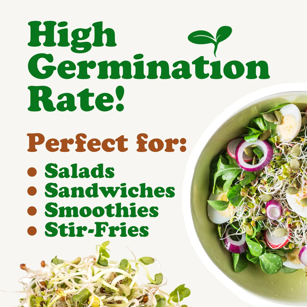 5 Pounds Sprouting Seeds Salad Mix W695