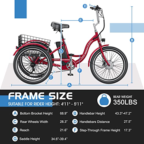 350W 36V 7 Speeds Electric Tricycle with Large Basket Q669538